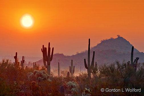 Desert Sunrise_79993v2.jpg - Photographed in the Sonoran Desert from north of Mesa, Arizona, USA.